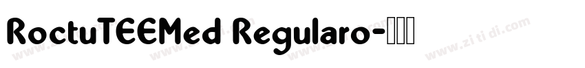 RoctuTEEMed Regular0字体转换